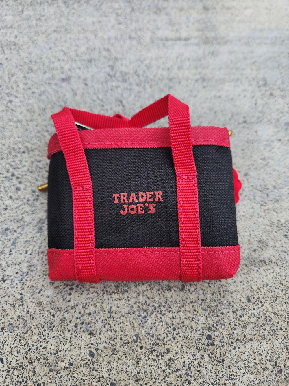 Limited Edition Trader Joe's Mini Tote Bag
